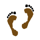 泰麻辣出师有名，北伐只为平民创业者