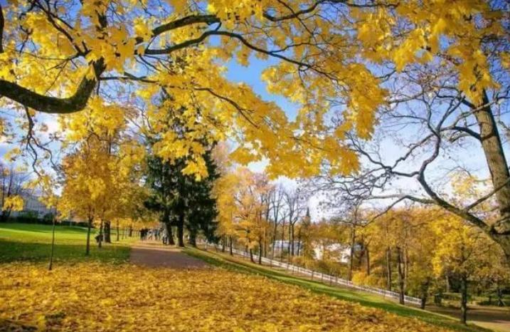 年薪百万清华男38岁被辞，未来生活一片渺茫，谁来聘我