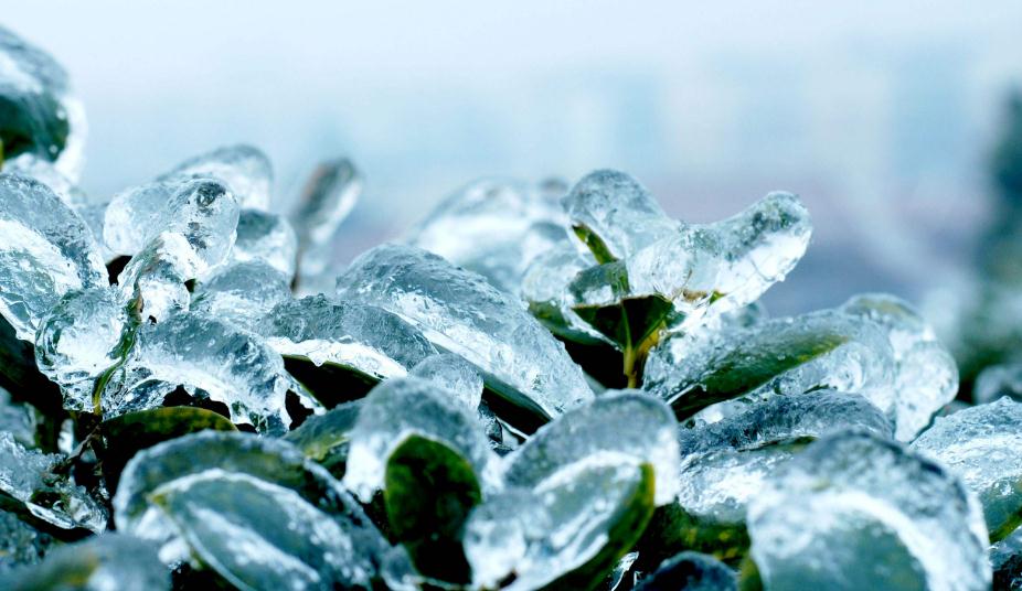 新型冠状病毒带来的后遗症