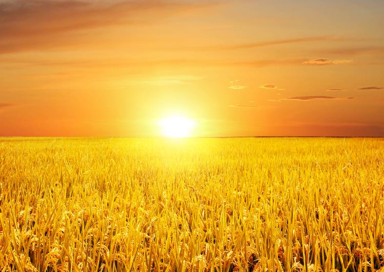 男子回应大学4年赚100多万，这让许多人都难以置信。这名男子毕业于哈工大，是哈尔滨市的顶流学校。